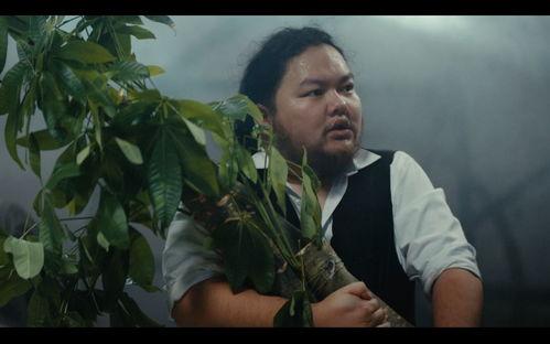 抓马侦探2,迷雾重重的悬疑之旅